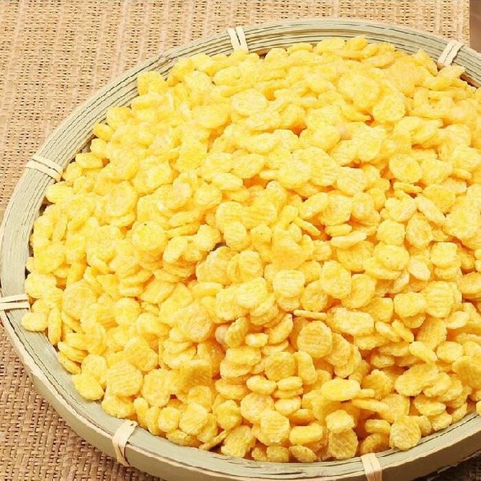 Twin Screw Corn Flakes Extruder
